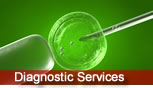 diagnostic services