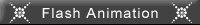 flash animation